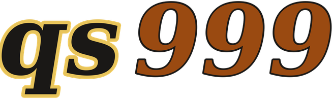 qs999 logo